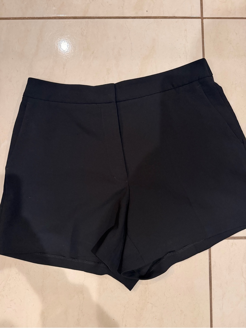 Aritzia Women's Dress Shorts